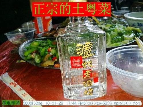 20100129009.jpg