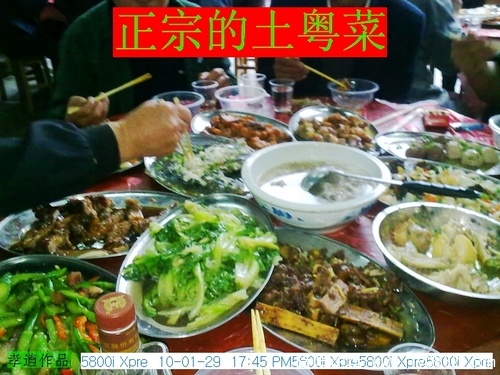 20100129013.jpg