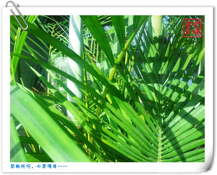 照片0106.jpg