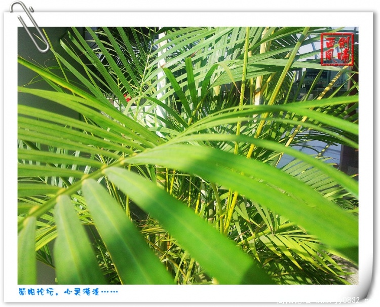 照片0102.jpg