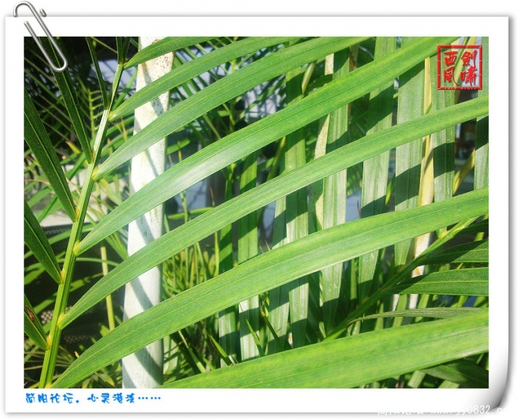 照片0104.jpg