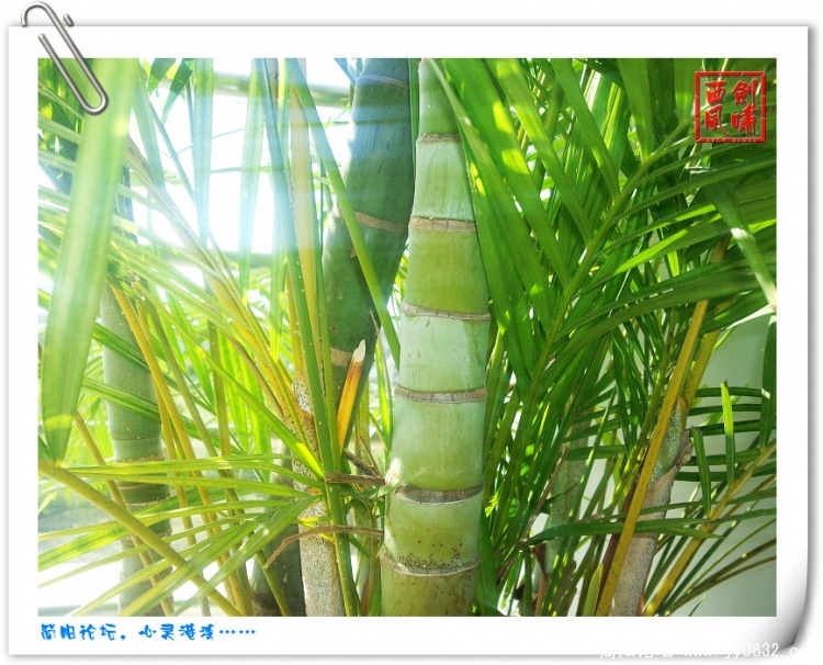 照片0097.jpg