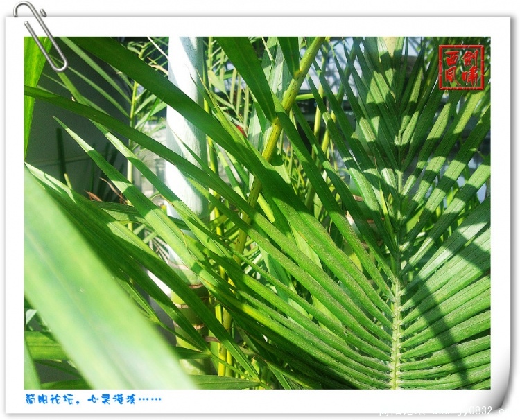 照片0107.jpg