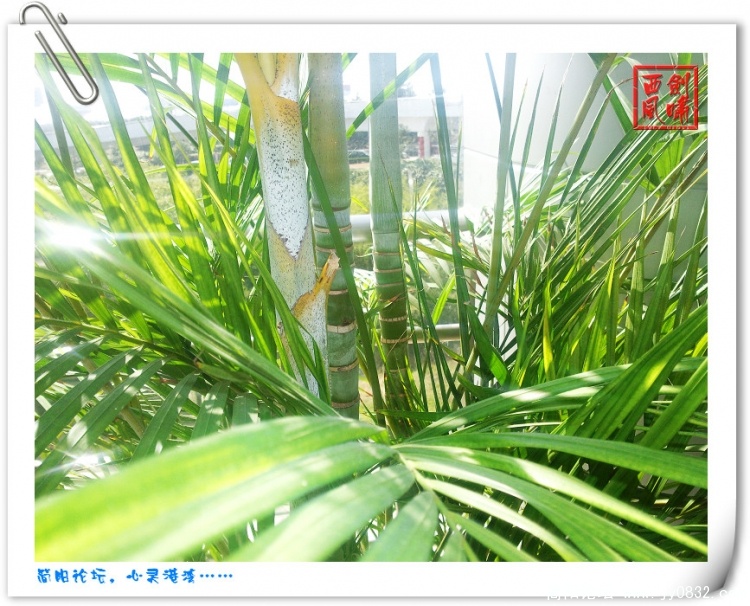 照片0096.jpg