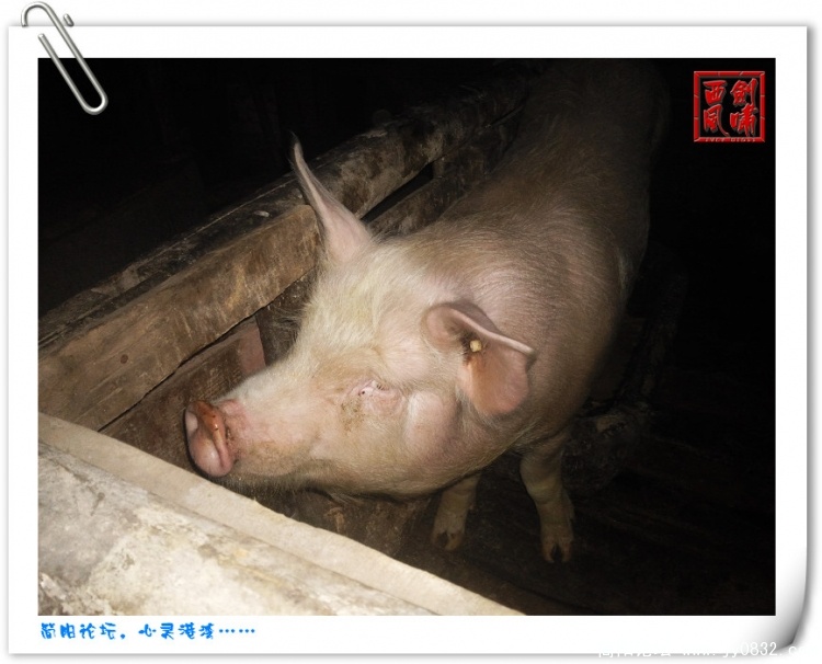 照片0143.jpg