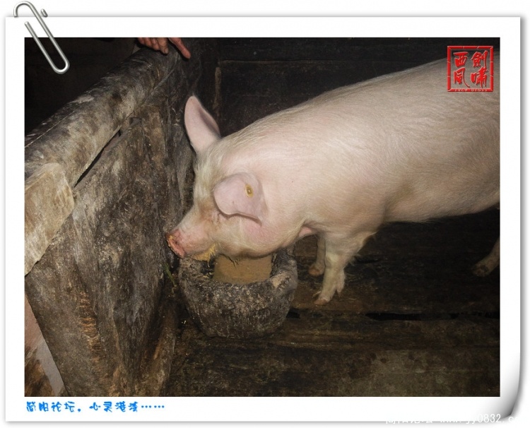 照片0156.jpg