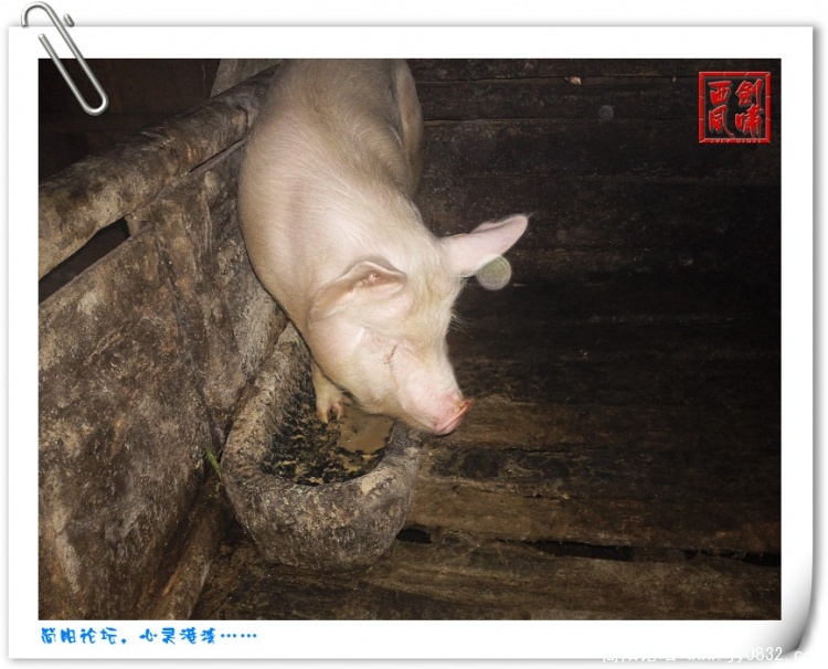 照片0146.jpg