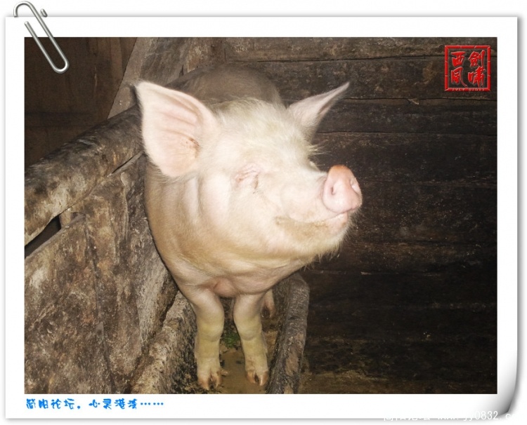 照片0151.jpg