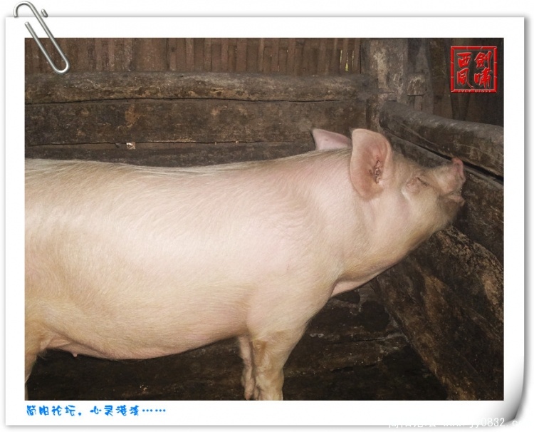照片0153.jpg
