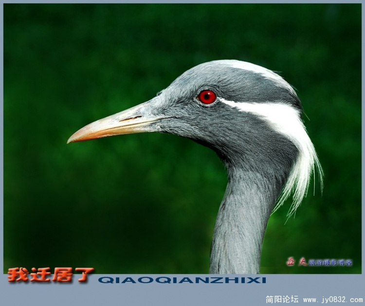迁居了——03.jpg