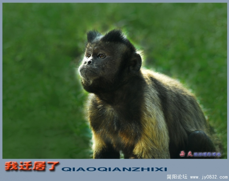 迁居了——04.jpg