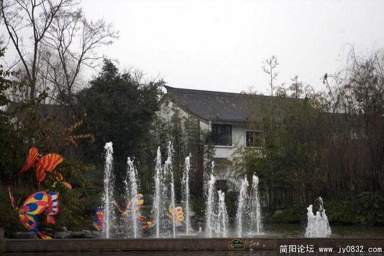 IMGP4846.jpg