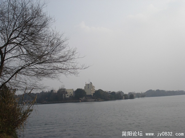 DSC00002.jpg