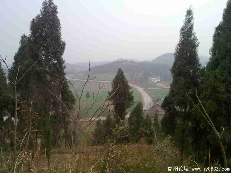 20100208315.jpg
