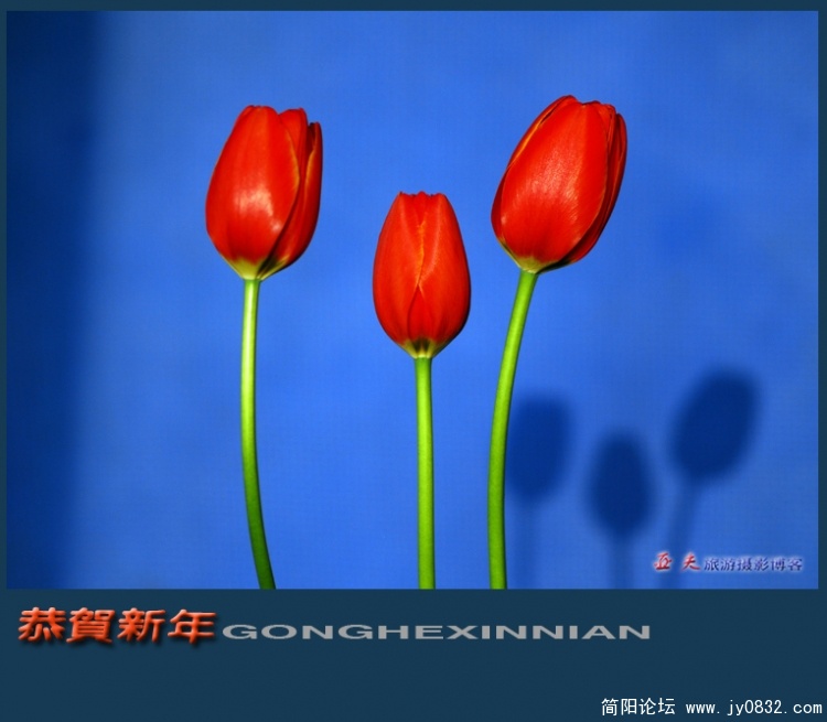 恭贺新年——01副本.jpg