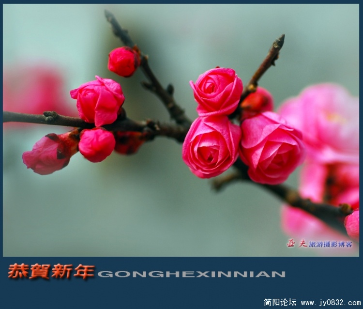 恭贺新年——10副本.jpg
