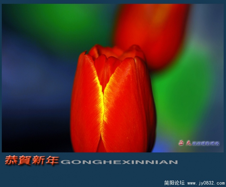 恭贺新年——05副本.jpg