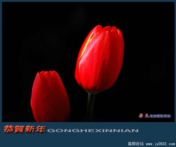 恭贺新年——06.jpg