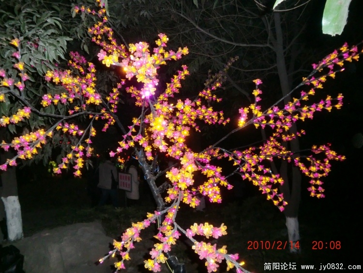 CIMG0696.JPG
