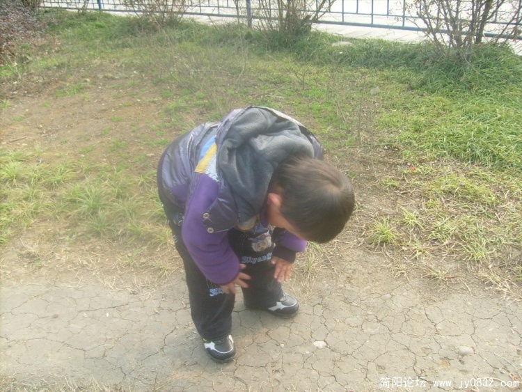 S7300823.JPG