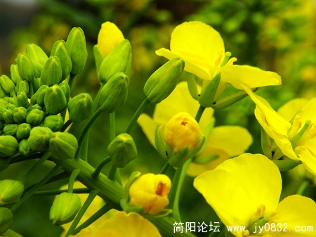 DSCN3686.jpg