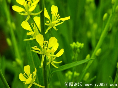 DSCN3718.jpg