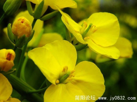 DSCN3690.jpg