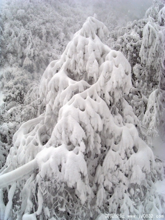 S73R4521.jpg
