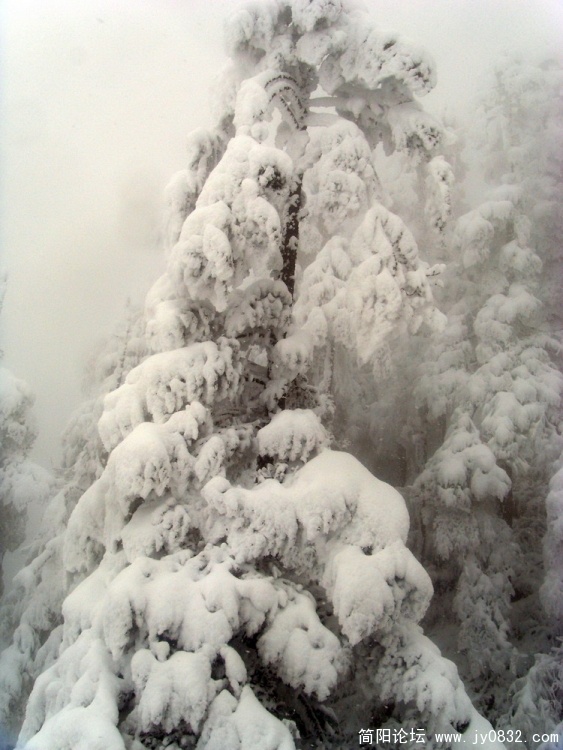 S73R4523.jpg
