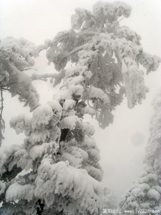 S73R4526.jpg