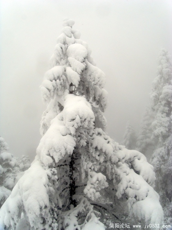 S73R4531.jpg