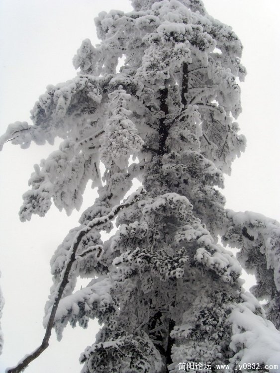 S73R4536.jpg