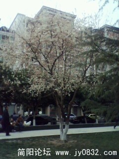 IMG0010A.jpg