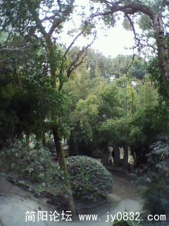 IMG0018A.jpg