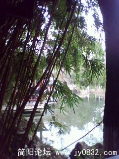 IMG0016A.jpg