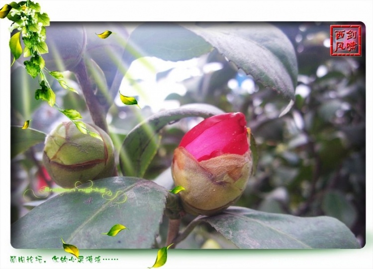 照片0017.jpg