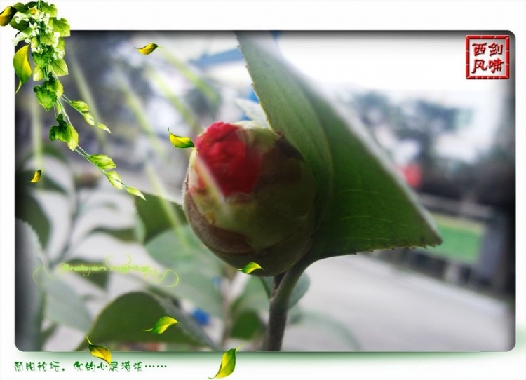 照片0008.jpg