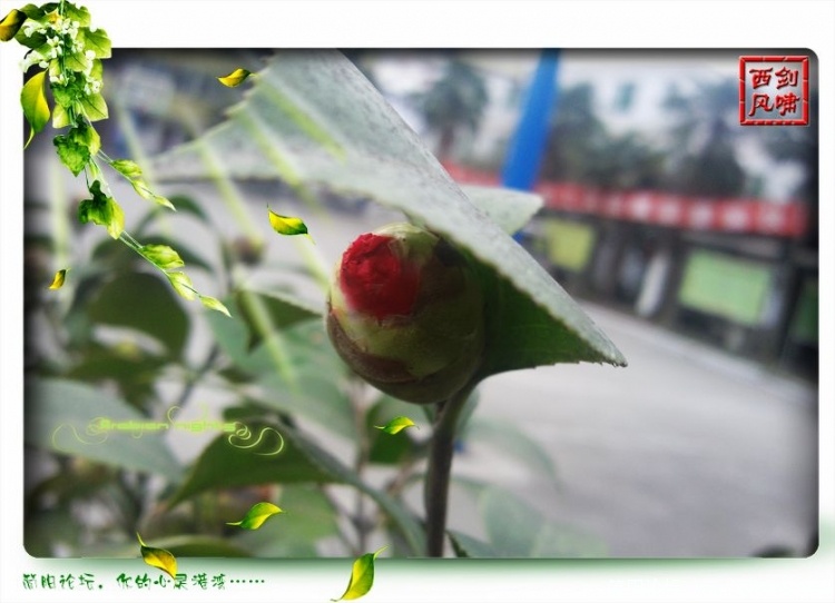 照片0005.jpg