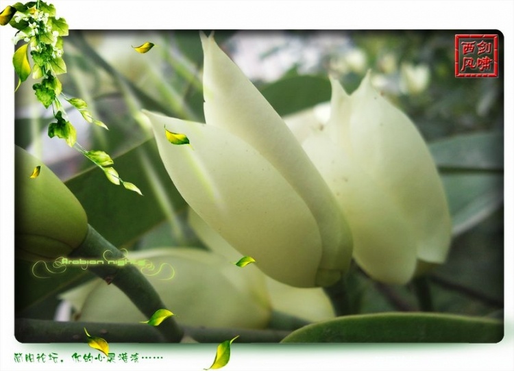 照片0289.jpg