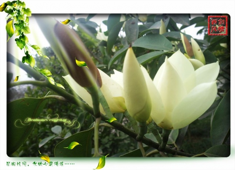 照片0293.jpg