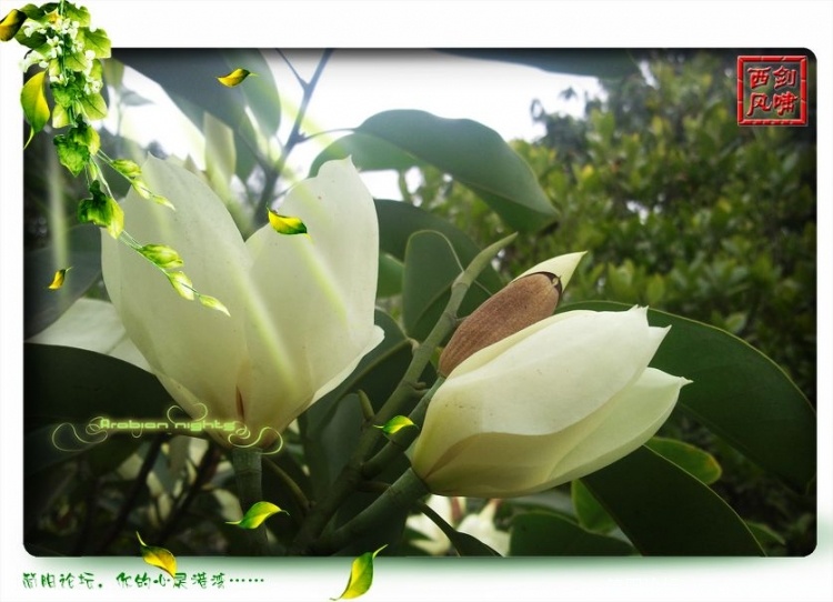 照片0304.jpg