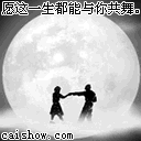 ap8.gif