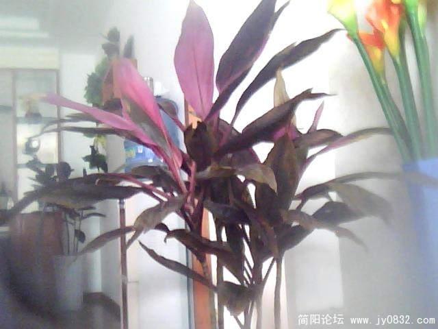 图片 014.jpg