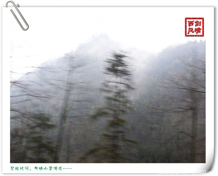 照片0224.jpg
