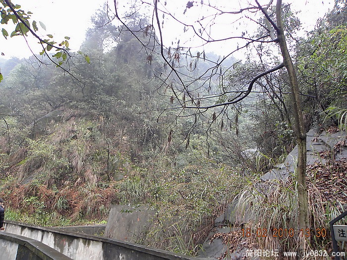 DSCN0827.jpg