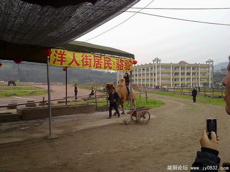 20100217241.jpg