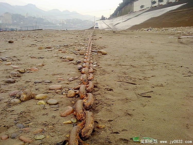 20100218327.jpg
