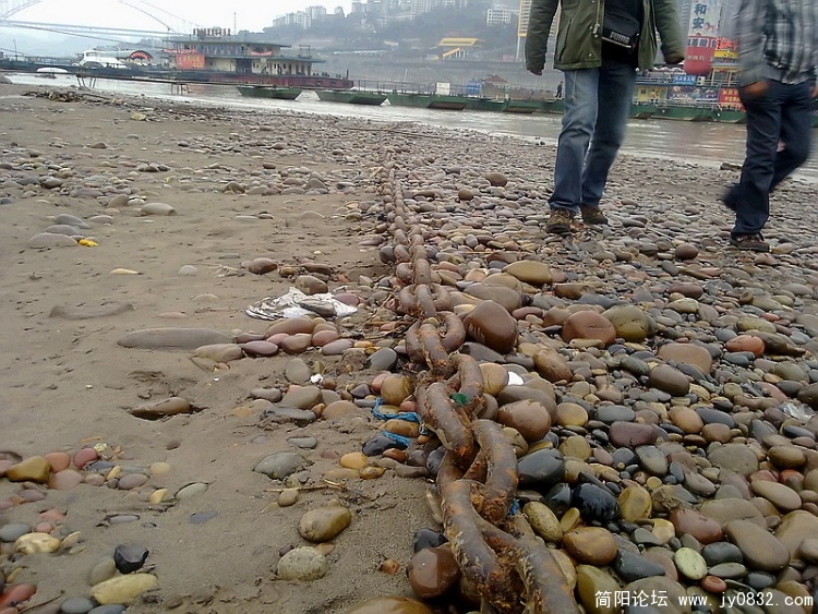 20100218330.jpg