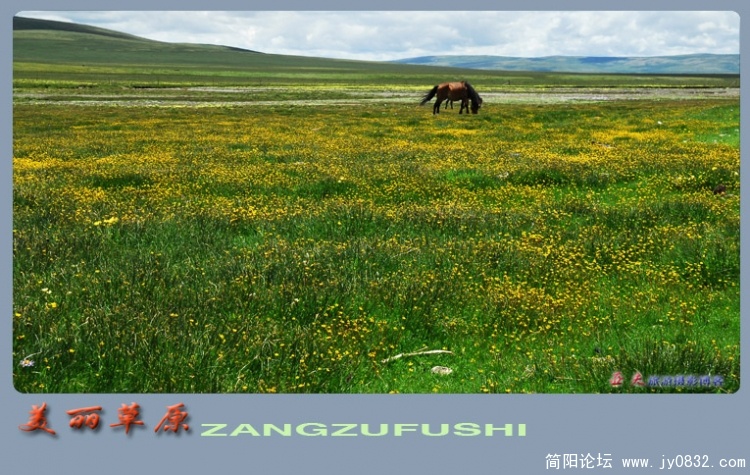 美丽的草原——03副本.jpg