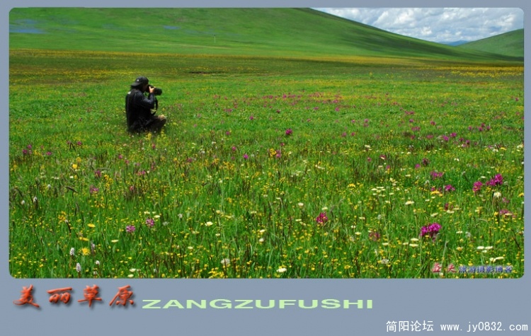 美丽的草原——06副本.jpg